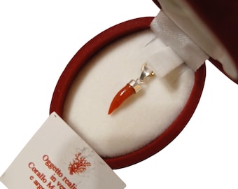 Corniciello, pequeño cuerno de la suerte de coral rojo mediterráneo y plata 925 o plata bañada en oro 925, cuerno de coral rojo, cuerno de la suerte