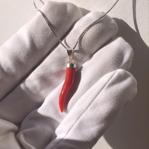 May include: A silver chain necklace with a red coral pendant shaped like a horn. The pendant is about 2 inches long.