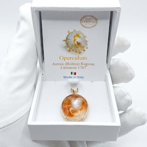Colgante de concha de ojo de Santa Lucía y oro de 18 quilates: un amuleto mediterráneo de buena suerte.