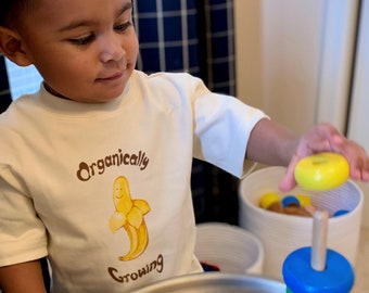 Organic Cotton Baby and Toddler Tee Shirt I 1-6 years