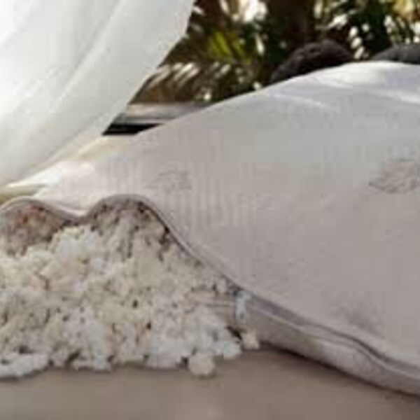 Machine Wash/Dry Organic Shredded Latex Pillows I Adjustable, Supportive I Premium Supple Organic Cotton Knit Outer