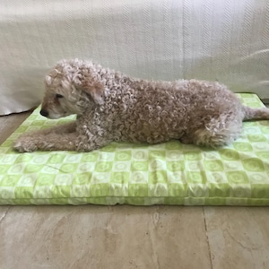 DIY Shredded Latex Pet Bed I Certified Organic I Complete Kit I Save Money