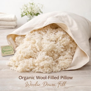 Organic Wool Pillow, Adjustable Loft, GOTS Bolus Fill