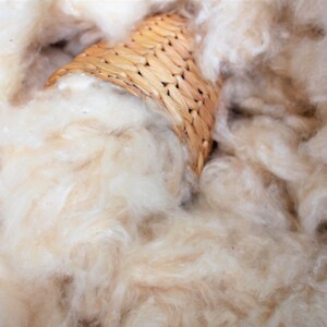 May include: Close-up of a pile of fluffy, cream-colored fibers with a woven basket partially visible. The fibers have a soft, textured appearance, suggesting a natural material. The basket is made of woven, light brown material.