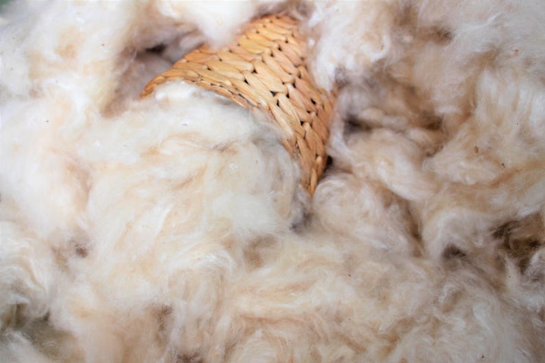 May include: Close-up of a pile of fluffy, cream-colored fibers with a woven basket partially visible. The fibers have a soft, textured appearance, suggesting a natural material. The basket is made of woven, light brown material.