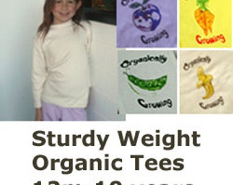 Organic Cotton Baby and Toddler Long Sleeve Tee Shirt I 1-6 years