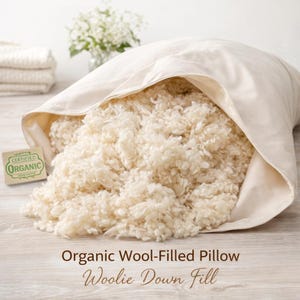May include: An organic wool-filled pillow with a cream-colored cotton cover, partially open to reveal the fluffy wool filling. The pillow is on a light wood surface, with a small "Certified Organic" tag.