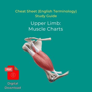Upper Limb Muscle Chart eBook Printable PDF Study Guide Shoulder, Arm, Forearm & Hand Muscles for Anatomy and Physiology Learning Resource