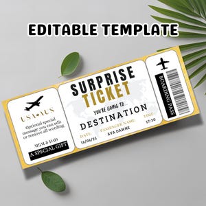 Editable Boarding Pass Template, Printable Plane Ticket, Personalized Travel Gift, Digital Download