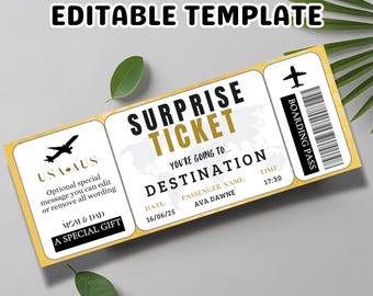Modèle de carte d'embarquement modifiable, billet d'avion imprimable, cadeau de voyage personnalisé, téléchargement numérique
