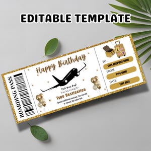 Printable Birthday Boarding Pass Ticket: Editable Surprise Trip Template (Digital Download)