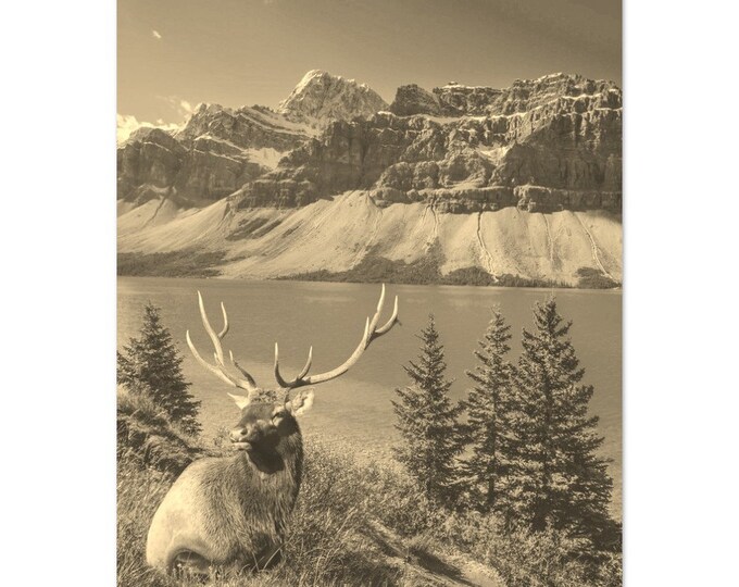 Vintage Banff Canada Travel Poster Print Wall Art | Retro Banff Mountain Home Decor | Banff Forest Deer Print Vertical | Banff Sepia Photo