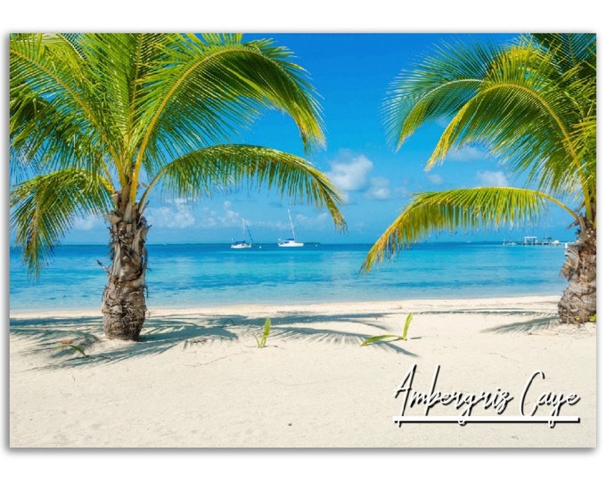 Ambergris Caye Poster Print Belize Wall Art Decor | Central America Photo Tropical Palm Beach Home Decoration Gift | Horizontal Photography