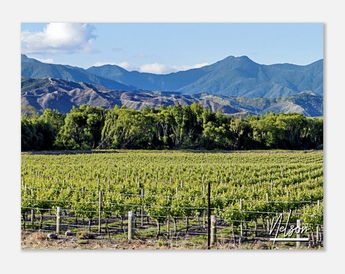 Nelson New Zealand Travel Poster Wall Art | Nelson Vineyard Home Decor | Nelson Digital Print | Nelson Alps Horizontal Hanging Photo Present