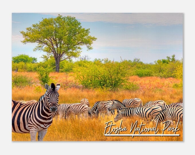 Etosha National Park Namibia Print Wall Art Etosha National Park Home Decor | Etosha National Park Art | Etosha National Park  Travel Photo