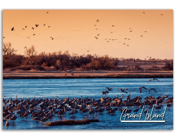 Grand Island Poster Print Nebraska Wall Art | Grand Island Lake Birds Photo Nature Home Decor | Grand Island US Travel Gift Horizontal Photo