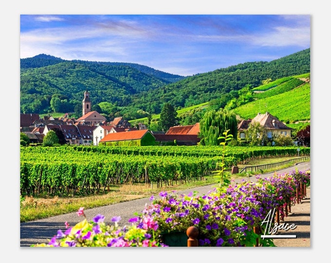 Alsace France Travel Poster Wall Art | Alsace Home Decor | Alsace Vines Field Print | Alsace Horizontal | Alsace Countryside Hangings Photo