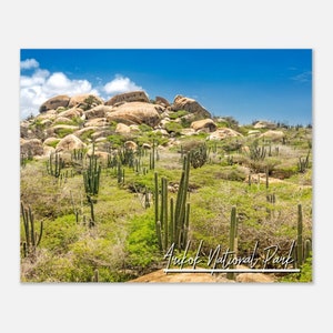 Arikok National Park Aruba Travel Poster Wall Art | Arikok Home Decor | Arikok Digital Print | Arikok Ayo Rock | Arikok Cacti Hangings Photo