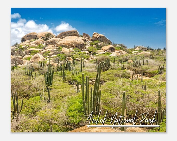 Arikok National Park Aruba Travel Poster Wall Art | Arikok Home Decor | Arikok Digital Print | Arikok Ayo Rock | Arikok Cacti Hangings Photo
