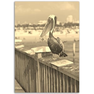 Vintage Clearwater Florida Poster Pelican Print | Retro Clearwater Beach Sepia Photo Gift | Clearwater Wall Art Home Decor | Vertical Poster