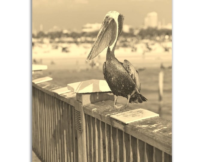 Vintage Clearwater Florida Poster Pelican Print | Retro Clearwater Beach Sepia Photo Gift | Clearwater Wall Art Home Decor | Vertical Poster