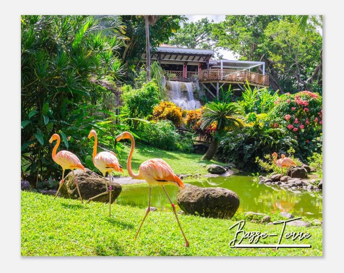 Basse-Terre Guadeloupe Travel Poster Wall Art Botanical Garden Home Decor | Basse-Terre Digital Print Flamingos Horizontal | Hangings Photo