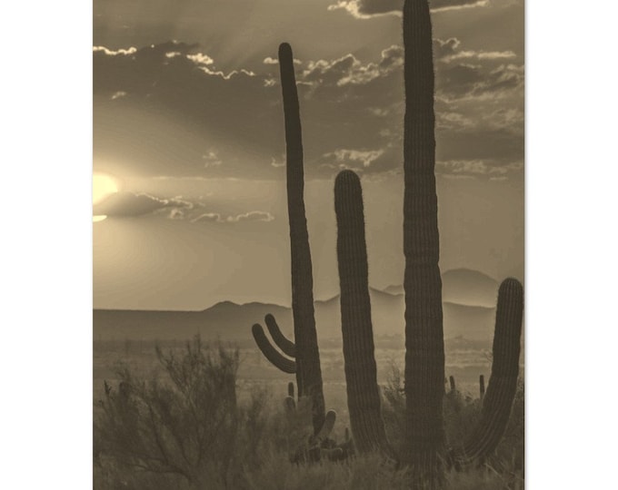 Vintage Tycson Arizona Poster | Retro Tycson Cactus Sepia Print | Tycson Wall Art Home Decor | Vertical Prairie Tycson Travel Photo USA Gift