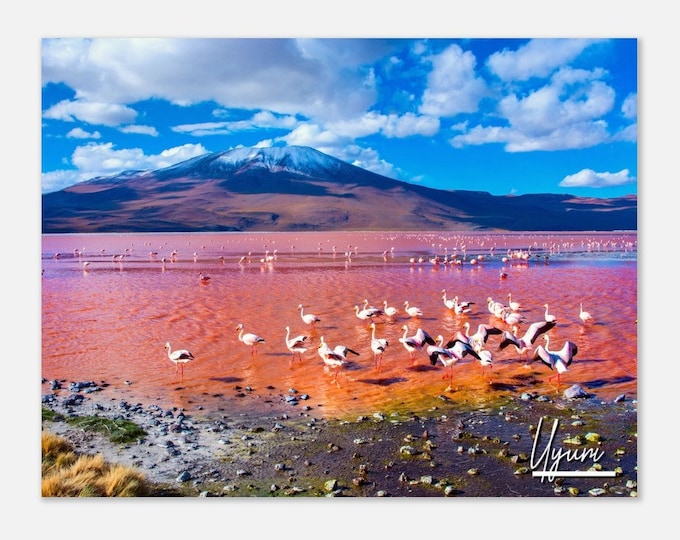 Uyuni Bolivia Poster Print Wall Art | Uyuni Home Decor | Uyuni Flamingos in Laguna Horizontal | Uyuni Hangings Travel Photo