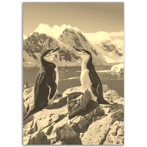 Antarctica Poster Vintage Print | Retro Penguin Antarctica Black and White Sepia Photo Gift | Antarctica Wall Art Decor | Vertical Poster