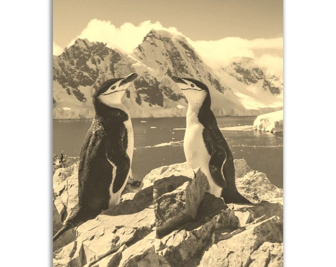 Antarctica Poster Vintage Print | Retro Penguin Antarctica Black and White Sepia Photo Gift | Antarctica Wall Art Decor | Vertical Poster