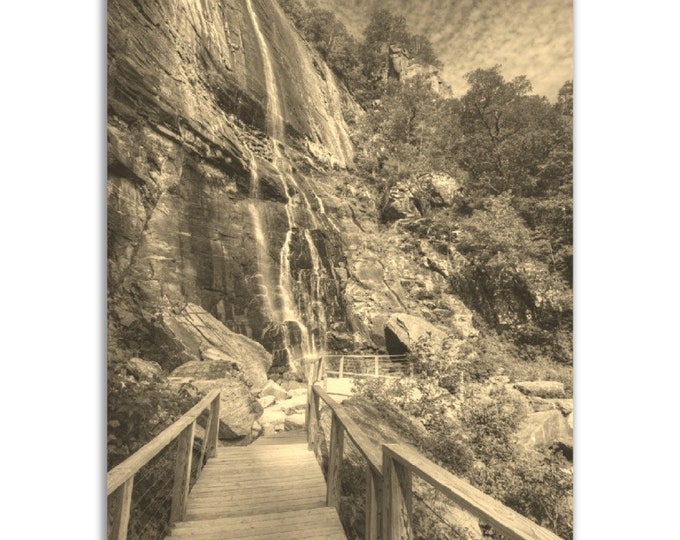 Asheville Poster North Carolina Vintage Print | Retro Asheville Sepia Photo Gift | Asheville Wall Art Home Decor Vertical Travel City Print