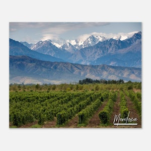 Mendoza Argentina Poster Print Wall Art | Mendoza Home Decor | Mendoza Digital Print | Mendoza Horizontal | Mendoza Hangings Travel Photo