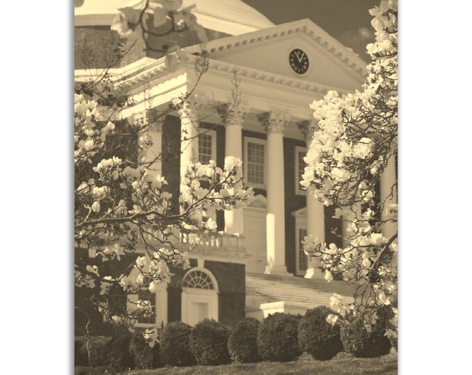 Charlottesville Poster Vintage Print | Retro Virginia Sepia Photo Gift | Charlottesville Wall Art Home Decor Vertical Virginia Travel Print