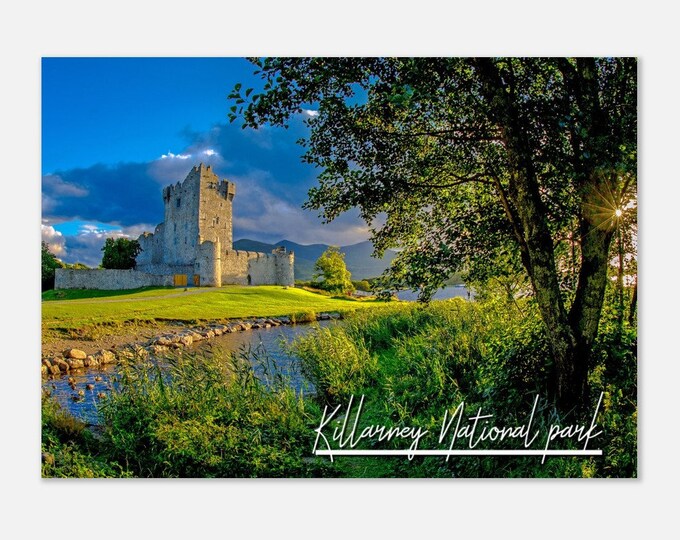 Killarney National Park Ireland Poster Wall Art | Killarney National Park Home Decor | Killarney Nature National Park Travel Photo Present