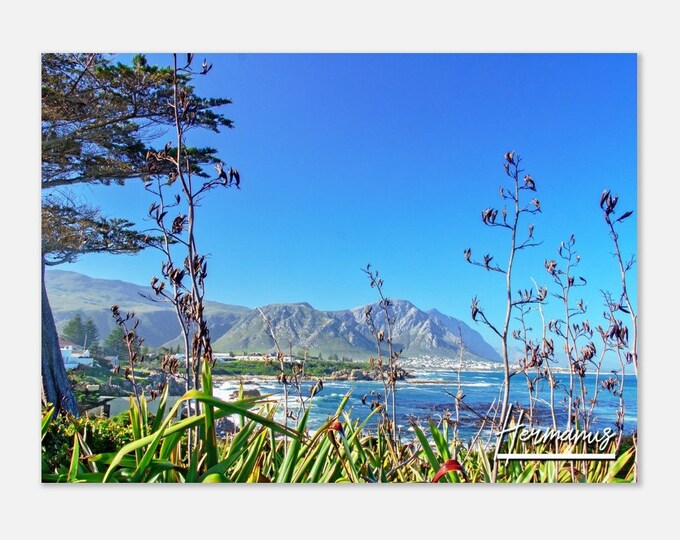 Hermanus South Africa Travel Poster Wall Art | Hermanus Home Decor | Hermanus Landscape Print | Hermanus Horizontal | Hermanus Hanging Photo