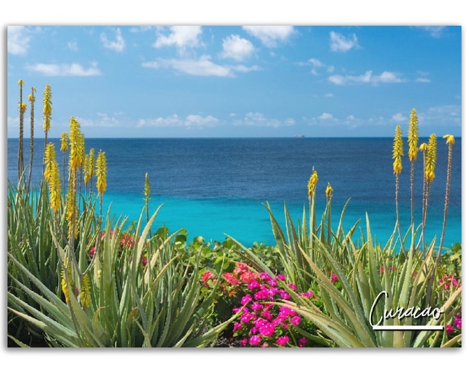 Curacao Poster Print Caribbean Wall Art Decor | Tropical Photo Nature Beach Decoration | Traveler Backpacker Gift | Horizontal Photography