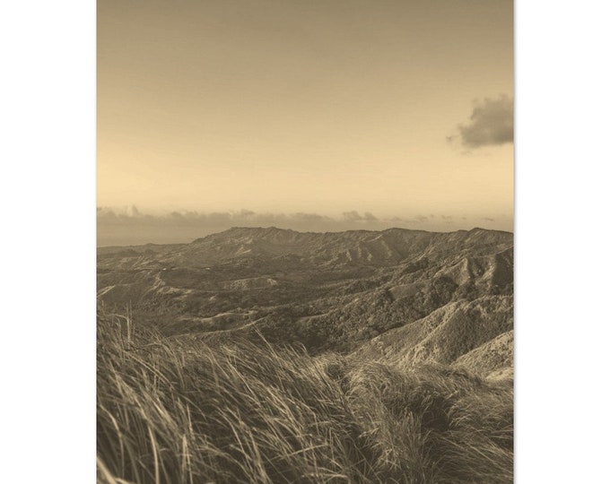 Vintage Guam Travel Poster Print Wall Art | Retro Guam Micronesia Grass Home Decor Print | Guam Landscape Print Vertical | Guam Sepia Photo