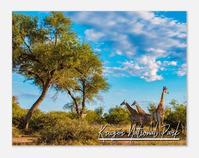 Kruger National Park South Africa Poster Print Wall Art | Kruger National Park Home Decor |  Kruger National Park Hangings Travel Photo
