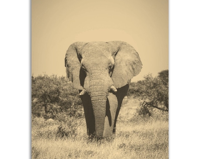 Namibia Elephant Poster Vintage Print | Retro Namibia Safari Sepia Photo Gift | Namibia Wall Art Home Decor Vertical Travel Nature Souvenir