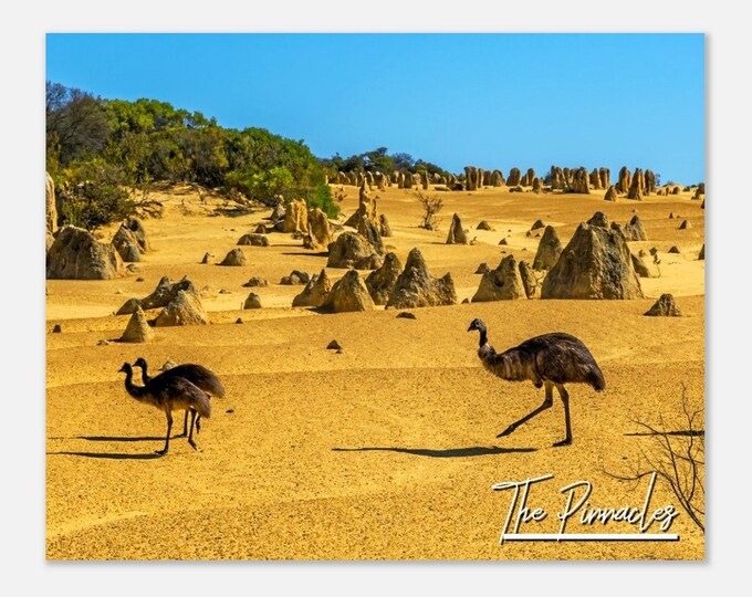 The Pinnacles Australia Travel Poster Wall Art | Pinnacles Desert View Home Decor | Pinnacles Emu Digital Print Horizontal Hangings Photo