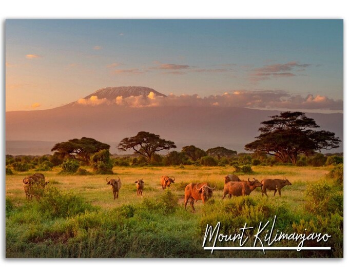 Mount Kilimanjaro Poster Print Wall Art | Mount Kilimanjaro Home Decor | Mount Kilimanjaro Print |  Mount Kilimanjaro Tanzania  Travel Photo