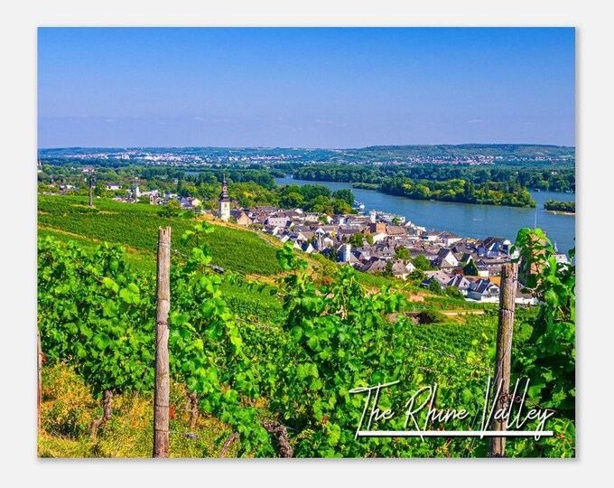 The Rhine Valley Germany Poster Print Wall Art | Rhine Valley Landscape Vineyards Home Decor | Rhine Valley Skyline Art Travel Photo Present