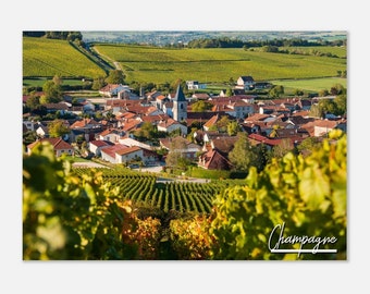 Champagne France Poster Print: Vineyard Travel Photo