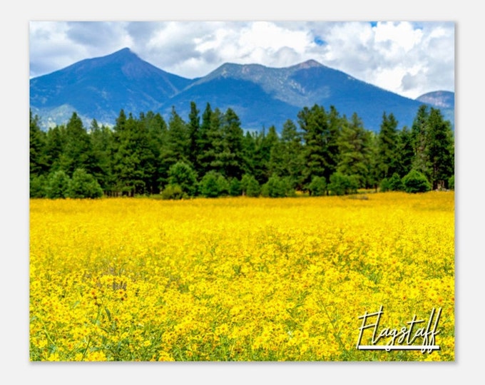 Flagstaff Arizona Poster Print Wall Art | Flagstaff Sunset Mountain Skyline Home Decor Print | Flagstaff AZ Hangings Travel Photo