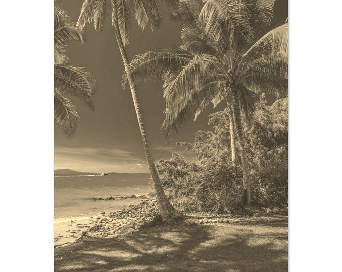 Vintage Port Douglas Australia Travel Poster Wall Art | Port Douglas Home Decor | Port Douglas Coast Digital Print Vertical Hangings Photo