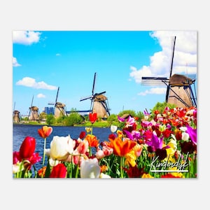 Kinderdijk Netherland Travel Poster Wall Art | Kinderdijk Home Decor | Kinderdijk Tulips Print Horizontal | Holland Windmill Landscape Photo