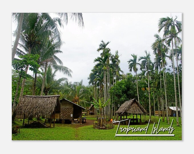 Trobriand Islands Papua New Guinea Poster Wall Art | Home Decor | Trobriand Islands Digital Print Trobriand Islands Palm Trees Travel Photo