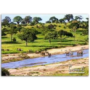 Serengeti Poster Print Wall Art | Serengeti Home Decor | Serengeti Digital Print | Serengeti Horizontal | Serengeti Hangings Travel Photo