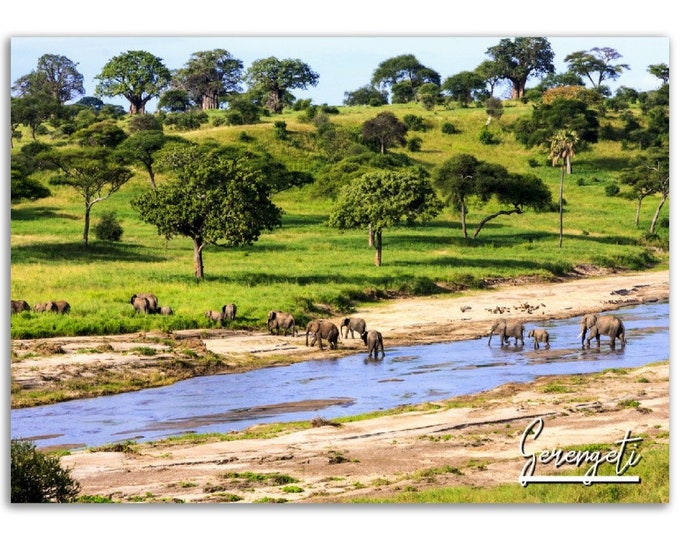 Serengeti Poster Print Wall Art | Serengeti Home Decor | Serengeti Digital Print | Serengeti Horizontal | Serengeti Hangings Travel Photo