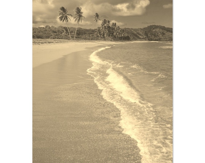 Vintage Grenada Travel Poster Print Wall Art | Retro Tropical Beach Grenada Home Decor | Grenada Coast Vertical | Grenada Sepia Photo Art